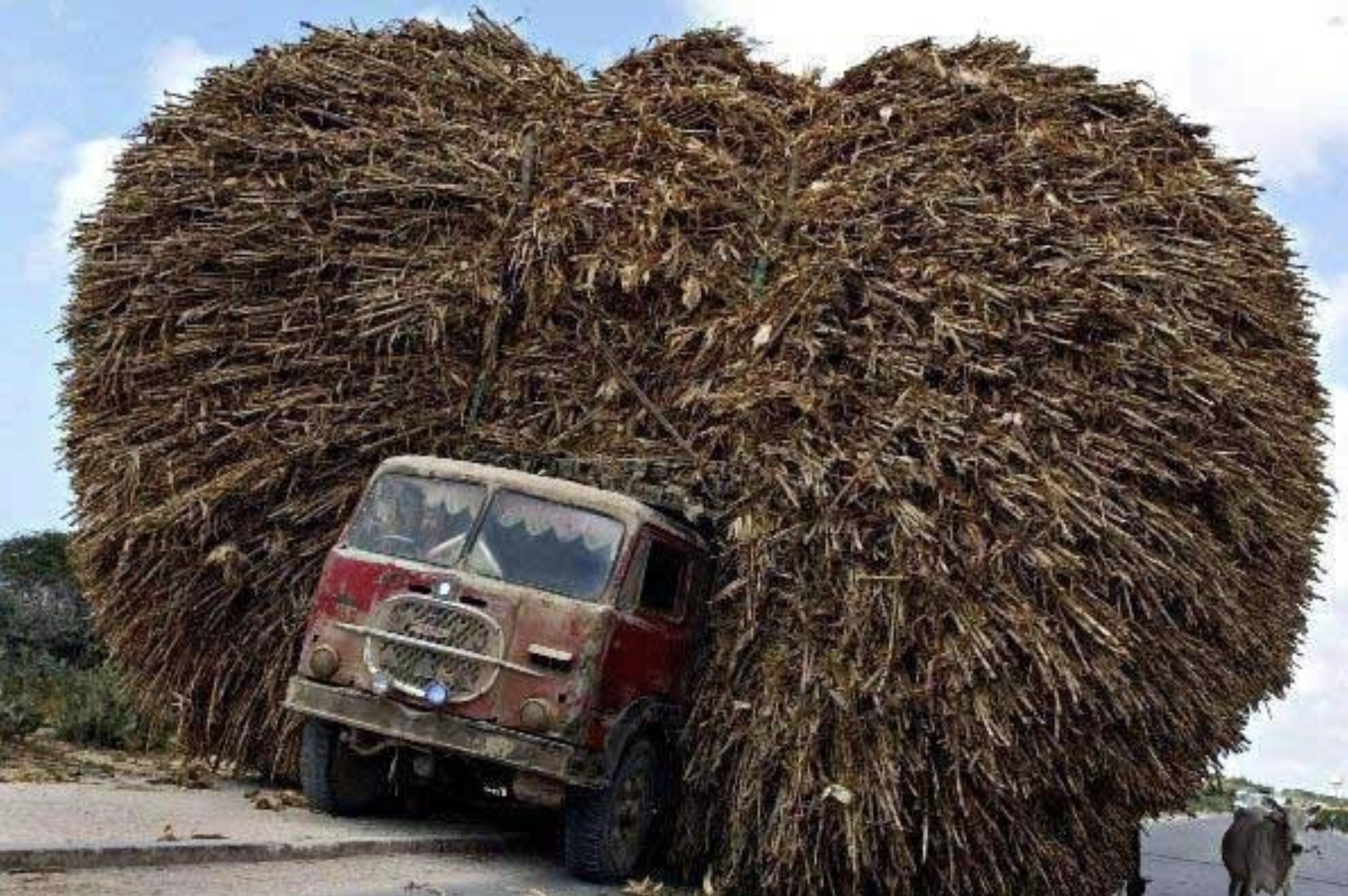 30 Odd Loads We’d Rather Not Drive Behind